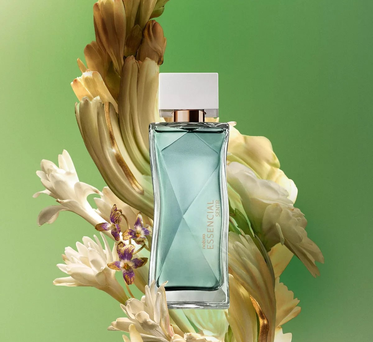 XERO DE MULHER ELEGANTE