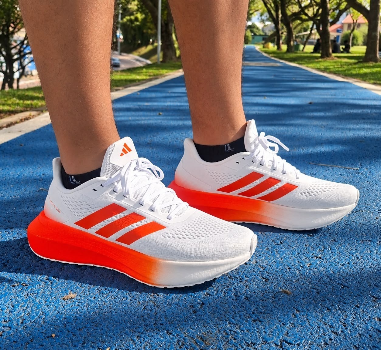 IMPRESSIONANTE COMO A ADIDAS NÃO ERRA