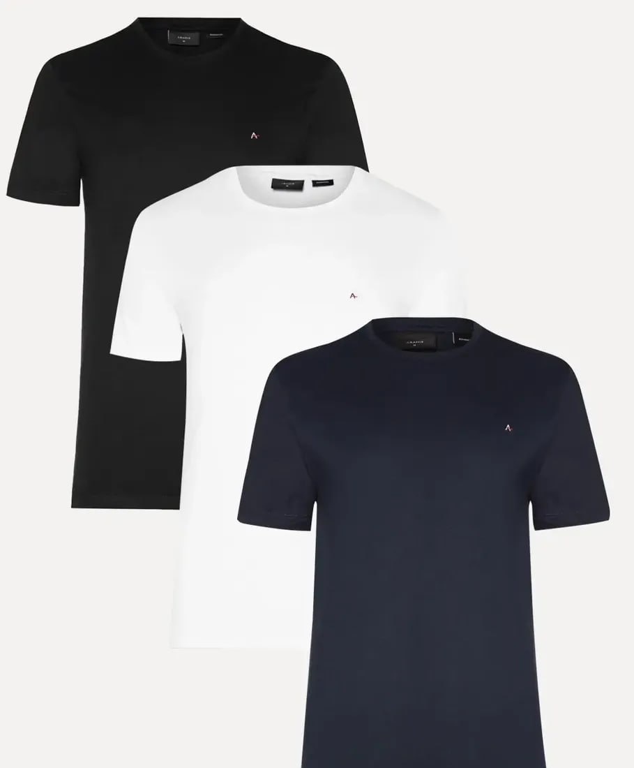 Kit 3 Camisetas Aramis Original