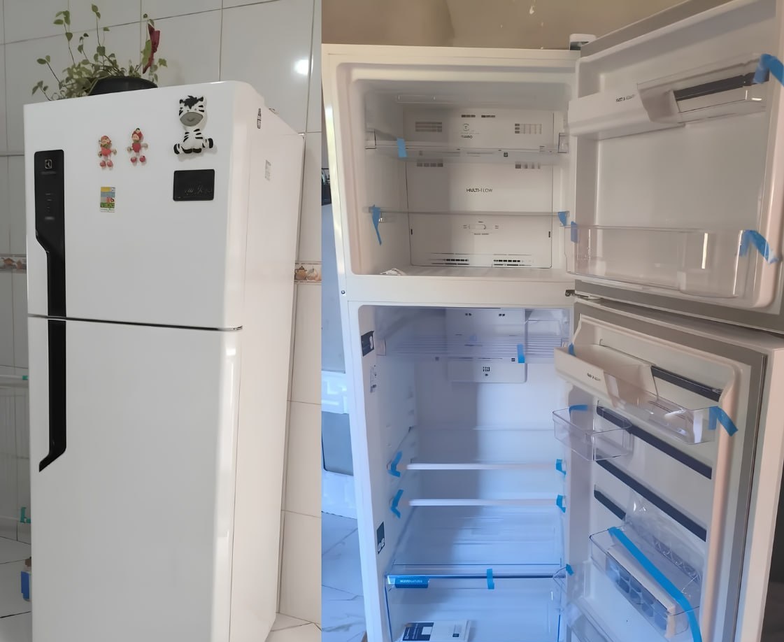 Geladeira Electrolux Frost Fre 480L Efficient Duplex - 220v