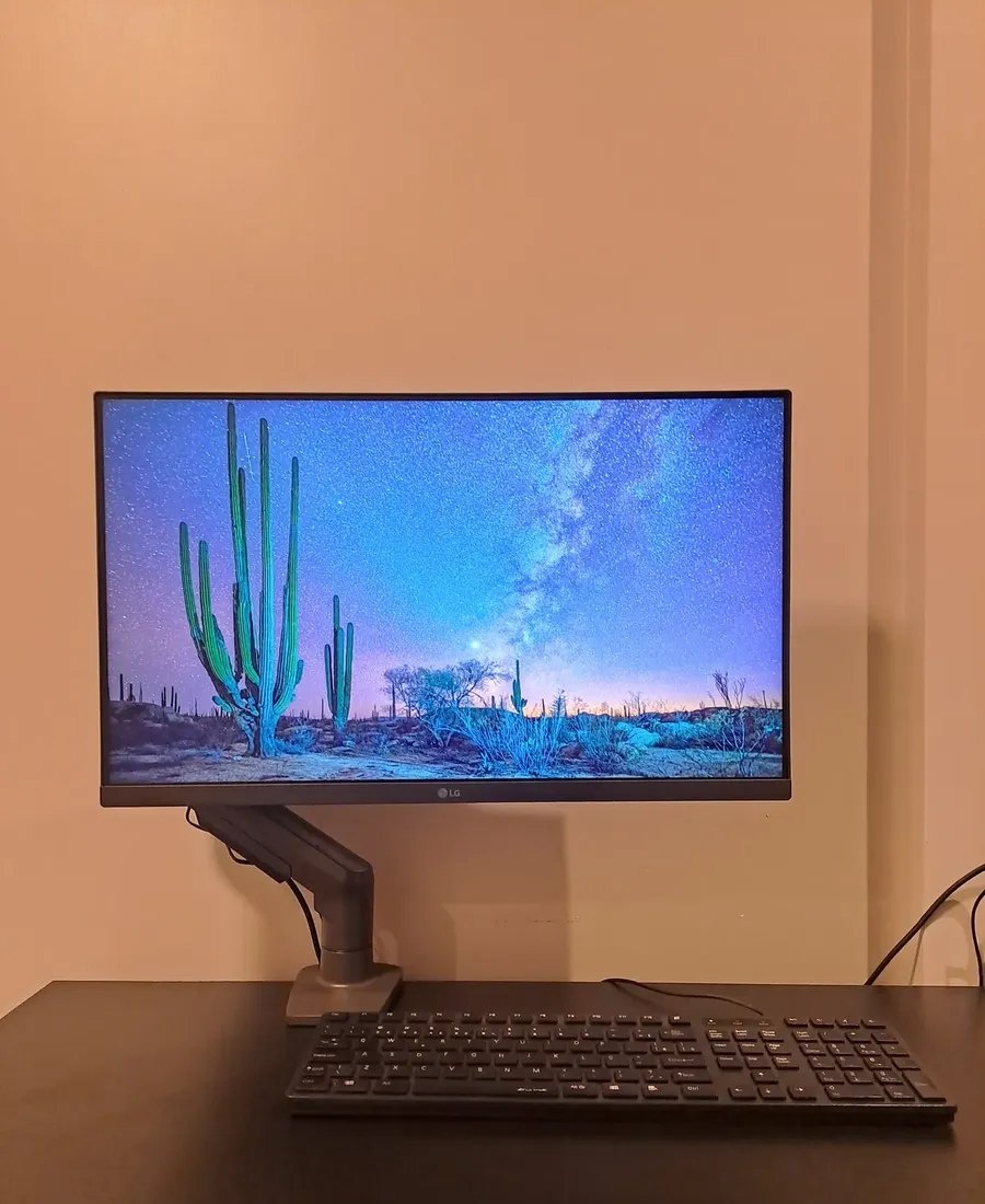 Monitor Gamer LG 24MS500-B 24ms Ips Fullhd 100hz Ajuste de Inclinação Negro
