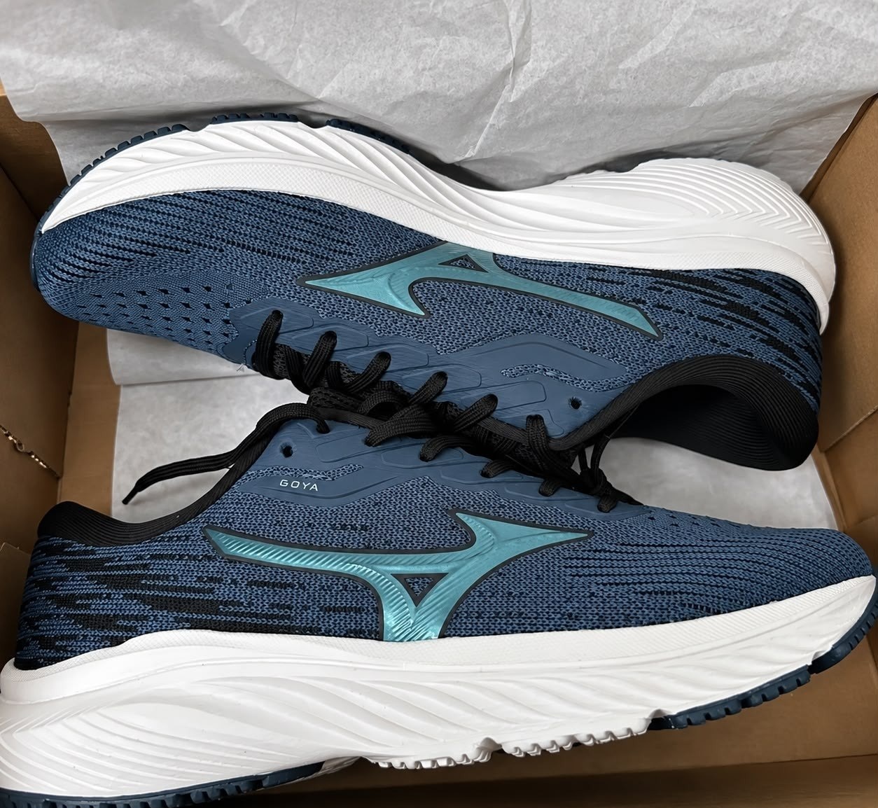 Tênis de Corrida Masculino Mizuno Goya