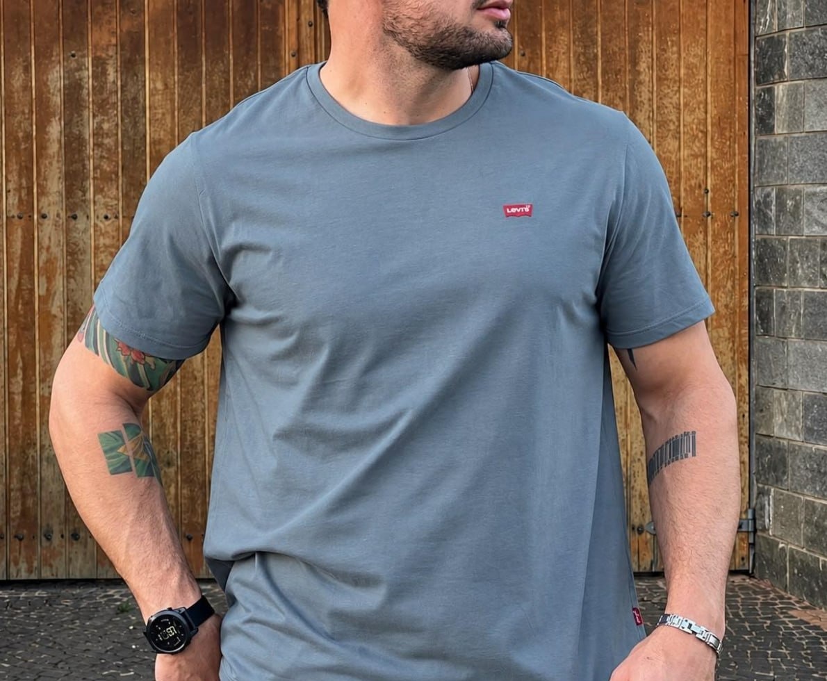 Camiseta Levis Standard Classic Printed Housemark