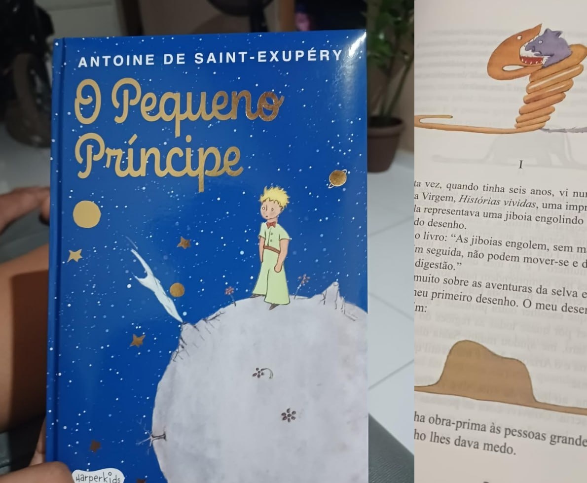 O Pequeno Príncipe - Edição Almofadada