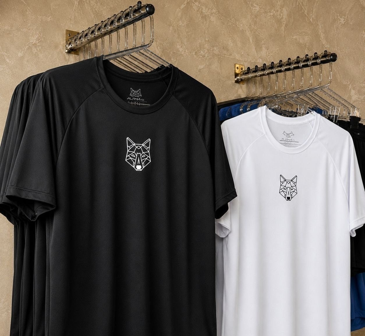Kit 2 Camisetas Masculina Dry Alpha