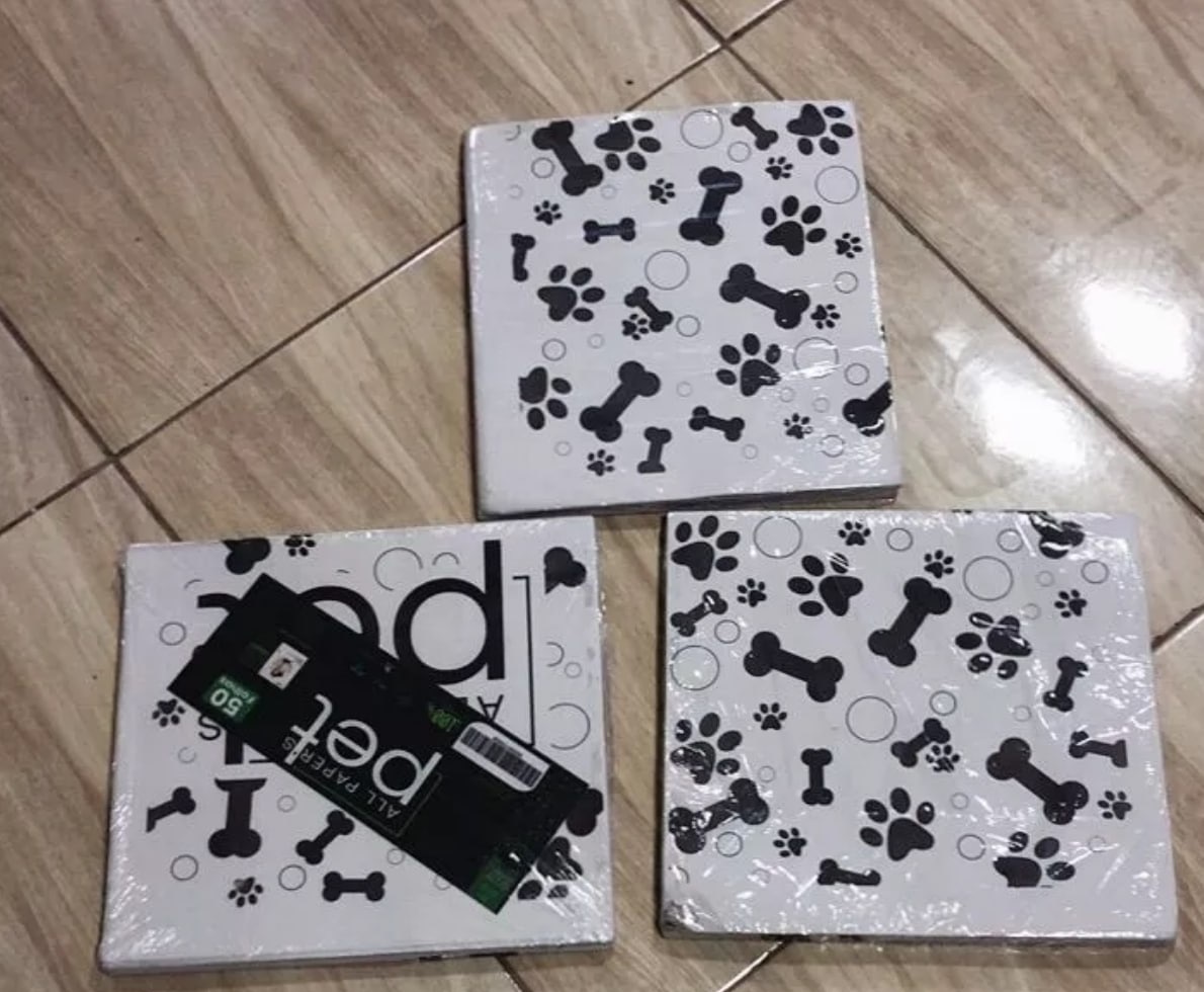 Kit Jornal Pet Higiênico 50 Folhas Biodegradável