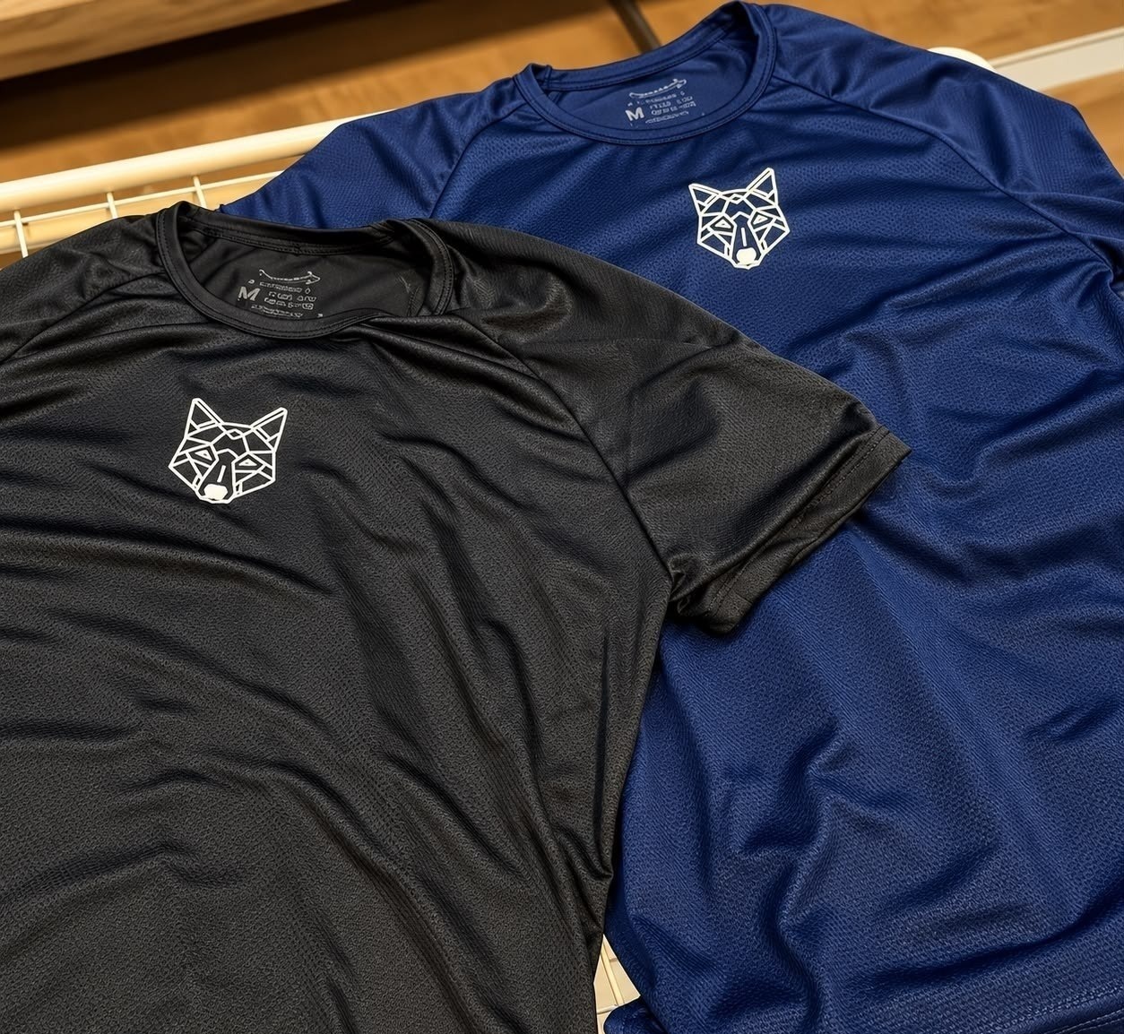 Kit com 2 Camisetas Dry Alpha