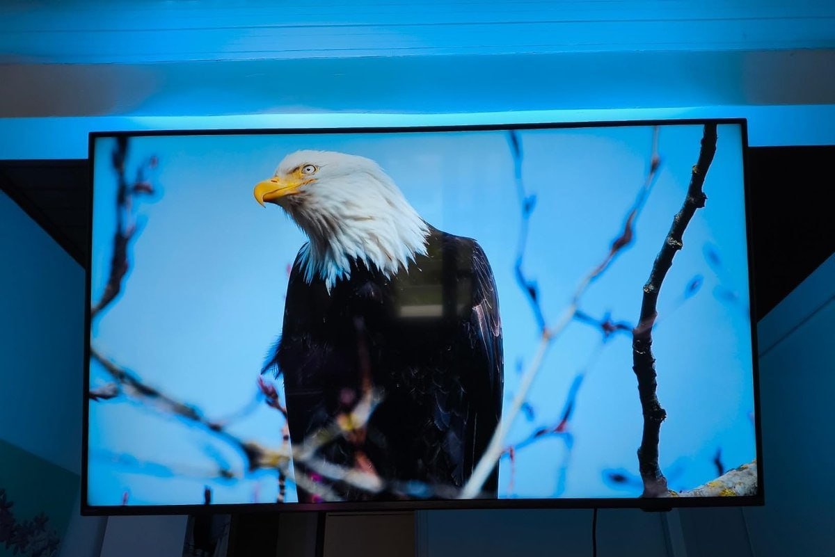 Smart TV PHILIPS Ambilight 55 4K