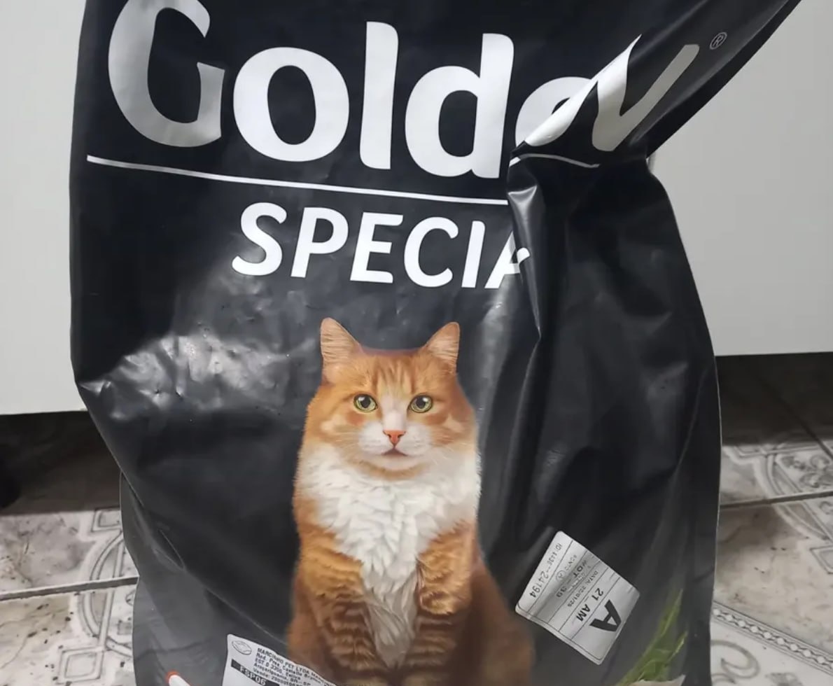 Ração Golden Special Gatos Adultos Frango E Carne 10,1 Kg