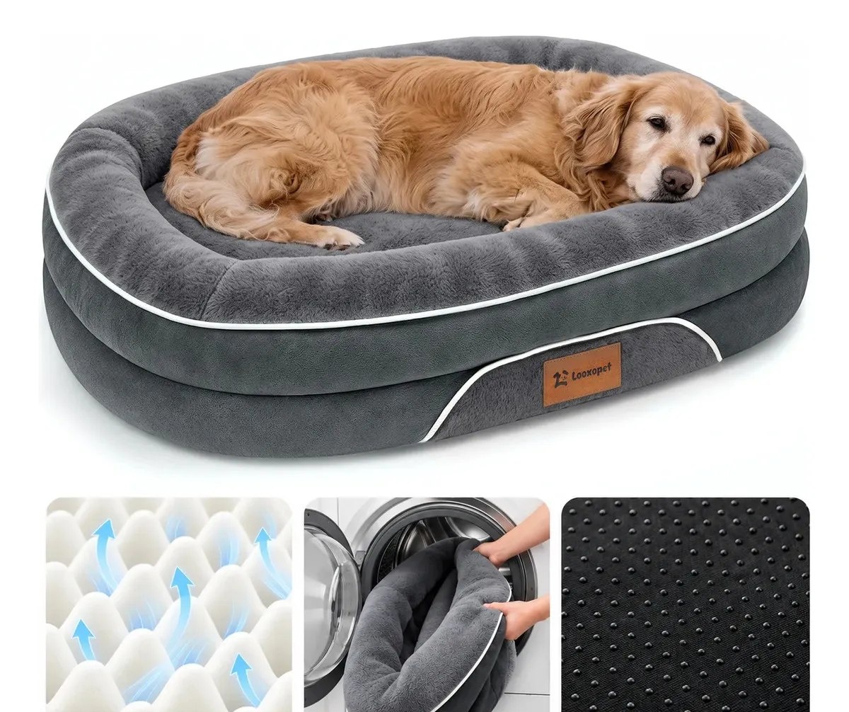 Cama Pet Grande Caminha Cachorros