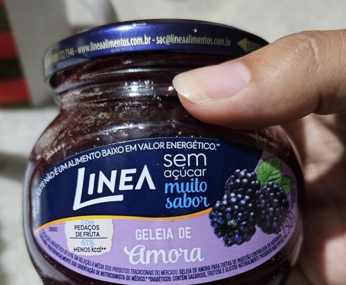 Linea Geleia de Amora 230g