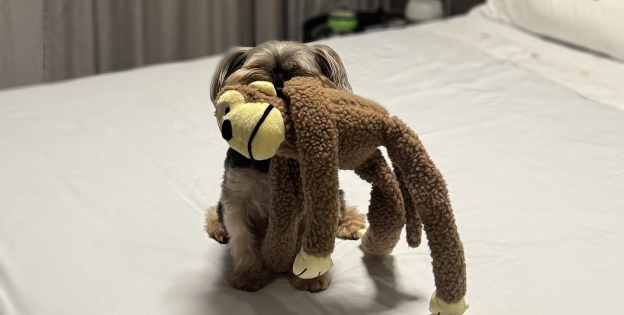 Chalesco Brinquedo Macaco Marrom para Cães