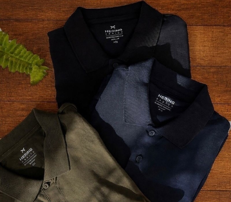 Kit com 2 Camisas Polo Hering Básicas 3 cores