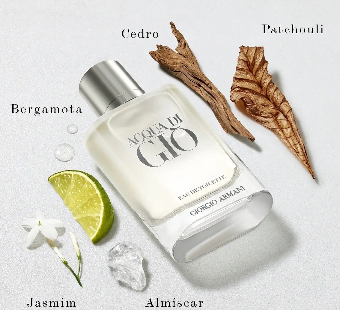 Perfume Armani Acqua di Giò EDT 100ml