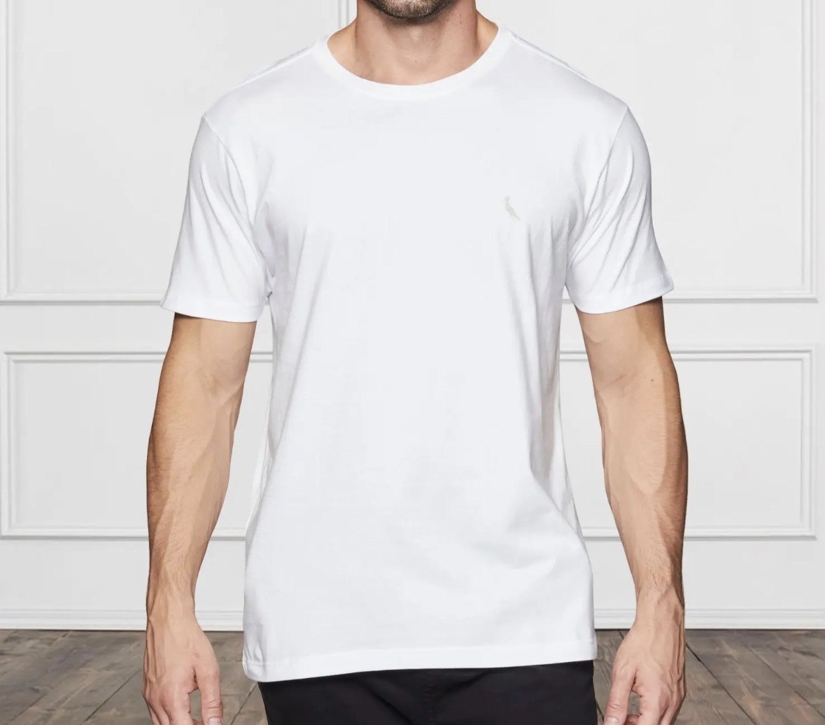 Kit Duas Camisetas Regular Essence Reserva