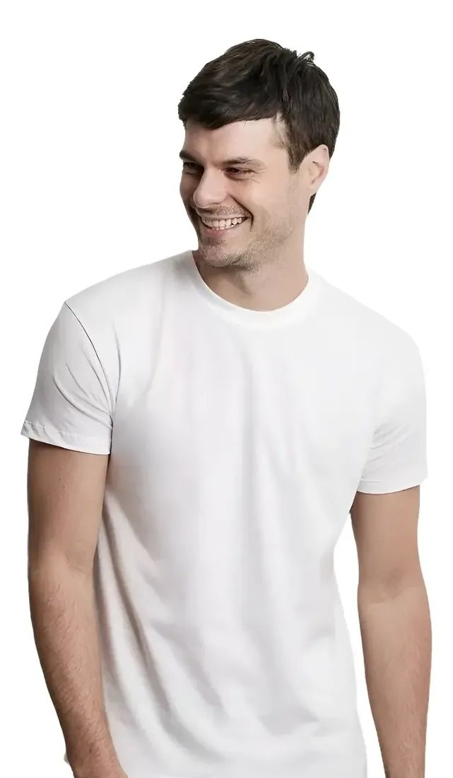 Camiseta Básicas Malwee Masculina Original 100 Algodão