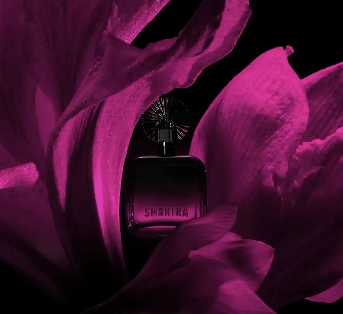Perfume Feminino Fucsia Elixir Eau De Parfum Floral Ambarado 80 Ml Shakira