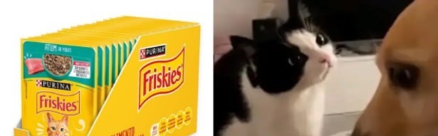 Pack 15 un. Nestlé Purina Friskies Ração p Gatos Atum Ao Molho 85g