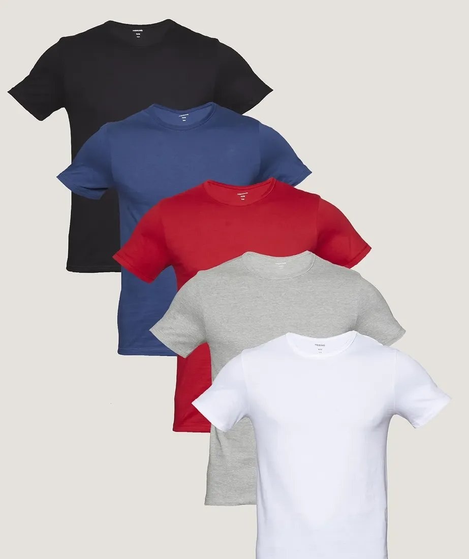 Kit Com 5 Camisetas Masculinas Lisa Multicolorida Hering