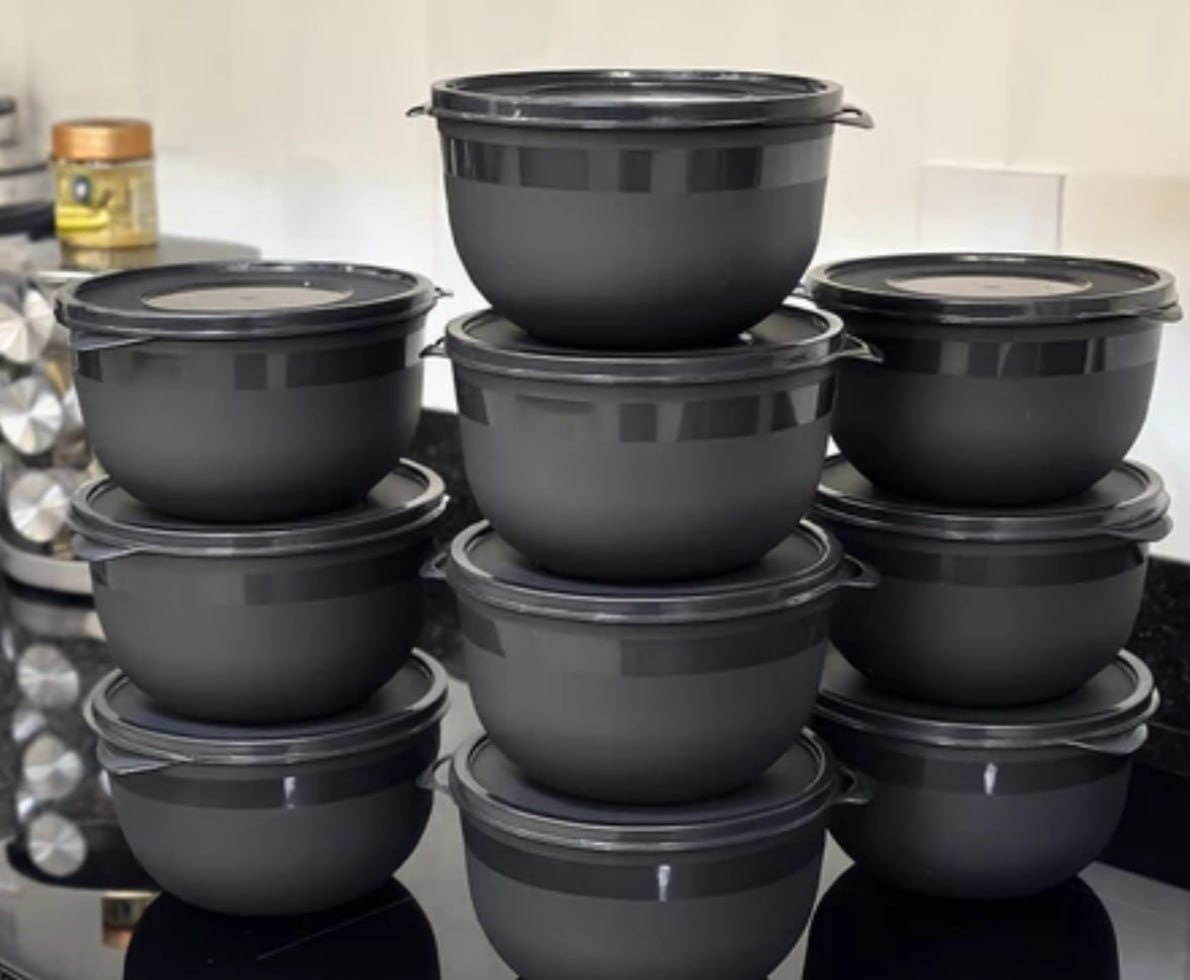 Kit 10 Potes Bowl 1300ml Plástico com Tampa
