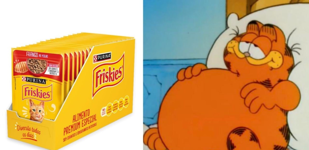 Pack Nestlé Purina Friskies Ração Para Gatos Adultos Frango Ao Molho Com 15 Sachês 85g