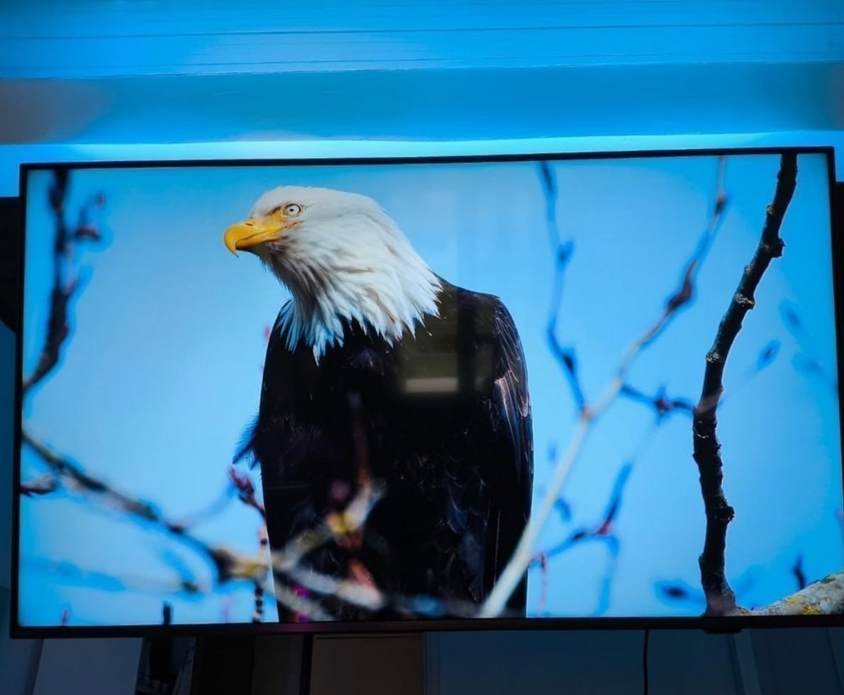 Smart TV 65 4K Philips Ambilight Titan