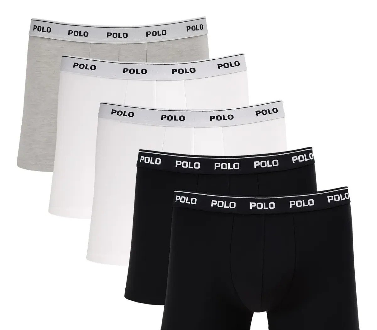 Kit 5 Cuecas Boxer Box Polo Star Cotton Algodão Masculina