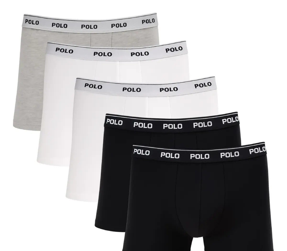 Kit 5 Cuecas Boxer Box Polo Star Cotton Algodão